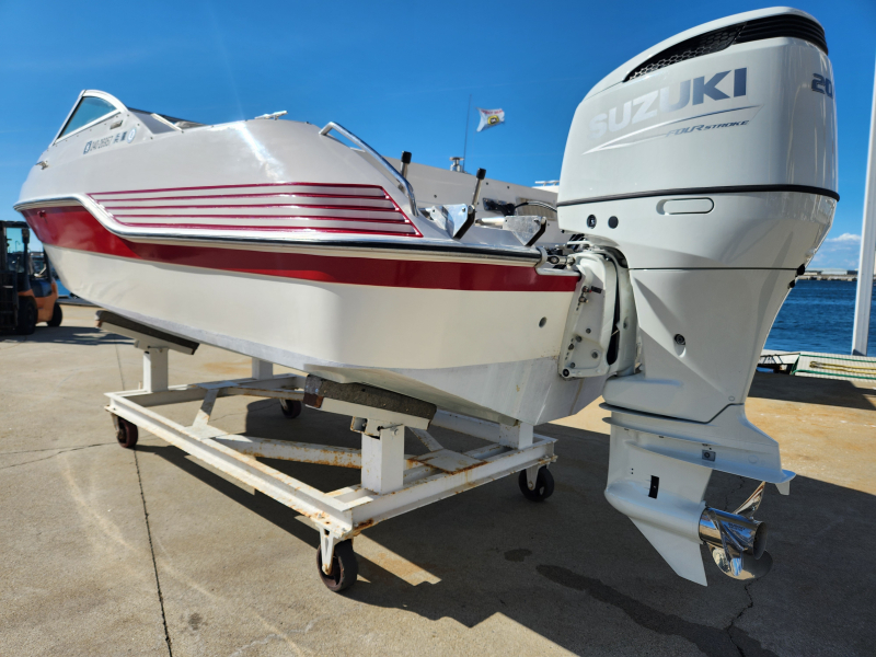 サポート 20枚 まとめ売り SR